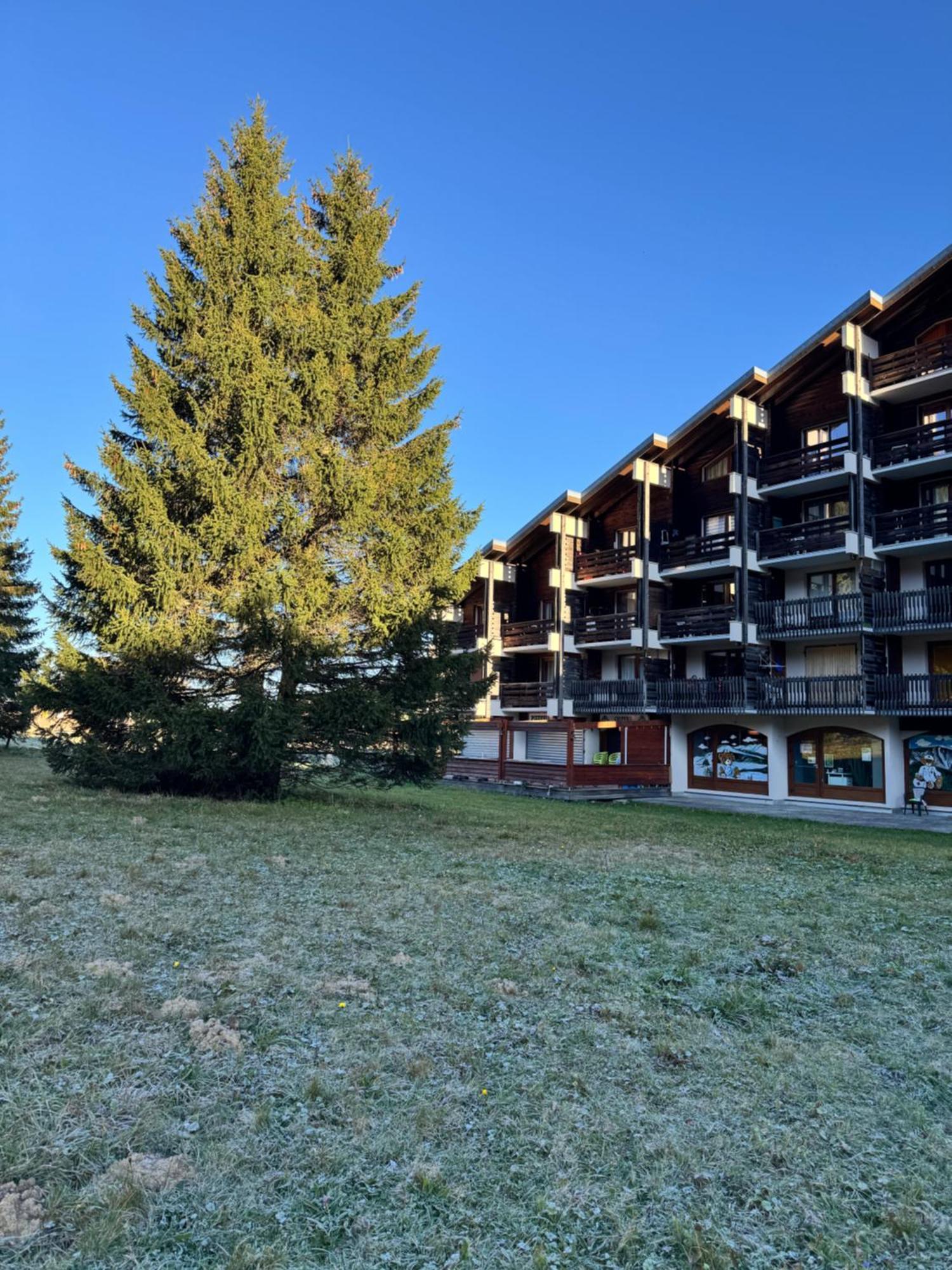 Superbe Studio De Montagne, Au Pied Des Pistes De Ski, Classe 3 Etoiles La Morte Exterior photo